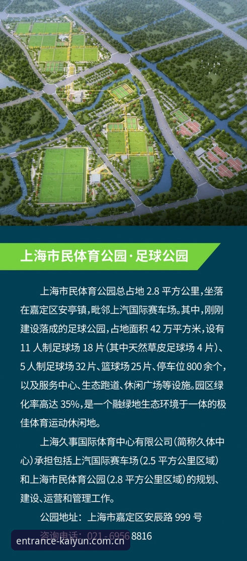 5大关键指标解析KAIYUN全球体育平台的用户增长密码